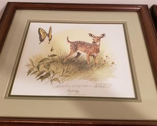 SPRING framed print