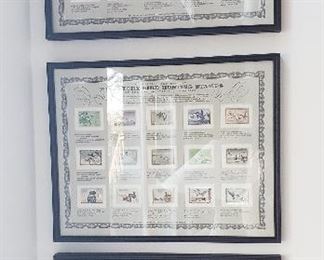 Framed Duck stamps