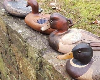 Mallard, Red Head decoy, others