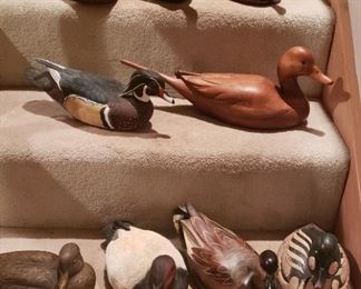 Group of Decoys