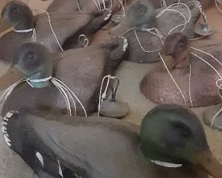 Duck Decoys