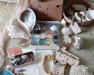 Under the Sea Shell Crafts