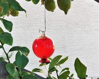 Hummingbird feeder