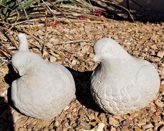 Quail for your garden