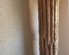 Saguaro cactus lamp. It does light up.