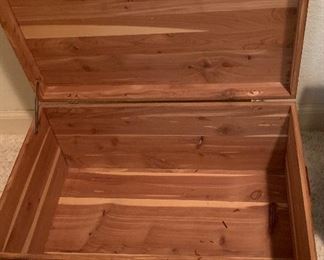 Small Cedar Trunk