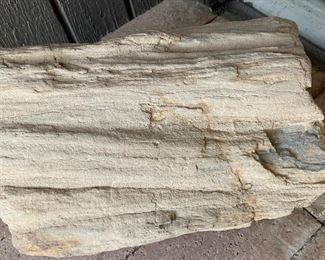 Petrified Wood