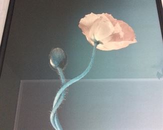 26 1/2" x 26 1/2".