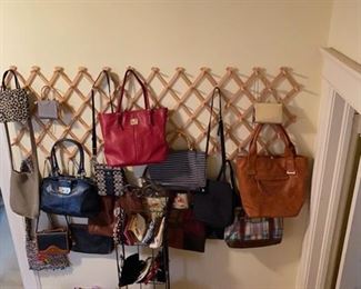 Need a purse