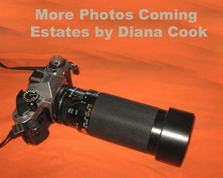 Diana Cook Estates, Auctions 219-763-3741
