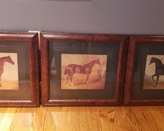 Horse prints