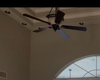 Ceiling fan (3 available)