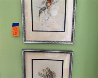 #62J.Gould Parrot Prints (2)  $60