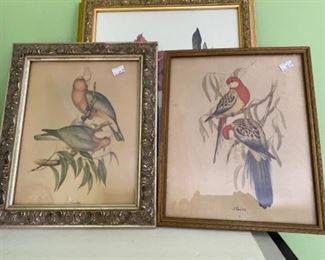 #65Gould Bird Prints (4) small @$20 each, (2) medium @$14 and $20