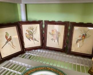 #65Gould Bird Prints (4) small @$20 each, (2) medium @$14 and $20