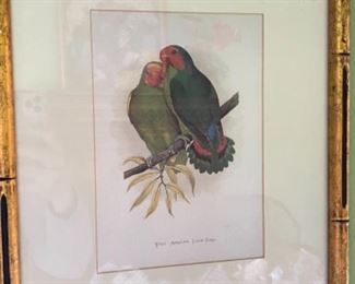 #118 Parrot Prints (2)  $70