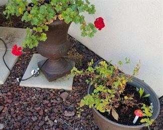 Tall Urn Style $40.00
Round pot $20.00