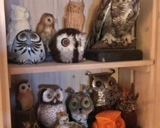 Owl collection, Taxidermy owl, pottery, etc