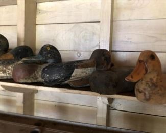 duck decoy