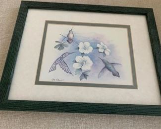 Sue Coleman Framed Print 