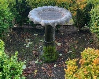 Bird Bath 