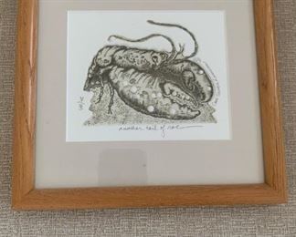 Framed Print