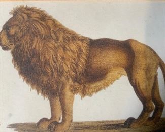 KARL JOSEPH BRODTMAN Lion Offset Lithograph