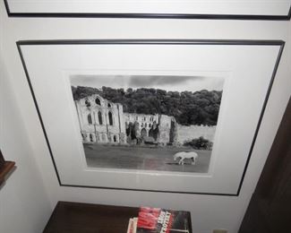 $10.00, 24" Framed Foto Horse in yard