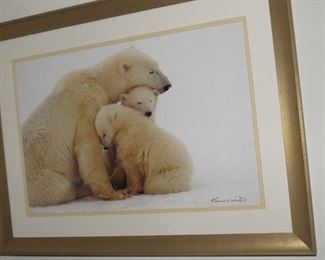 $25.00, Kennan Ward 24" Polar Bear Photo, excellent