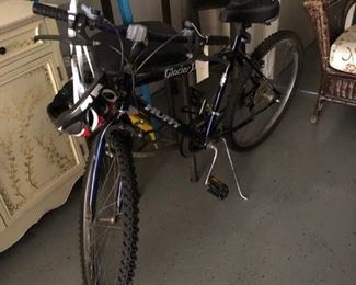 Huffy Bike, ladder sold