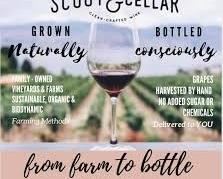 Scout Cellar