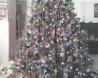 beautiful (not decorated) Christmas tree