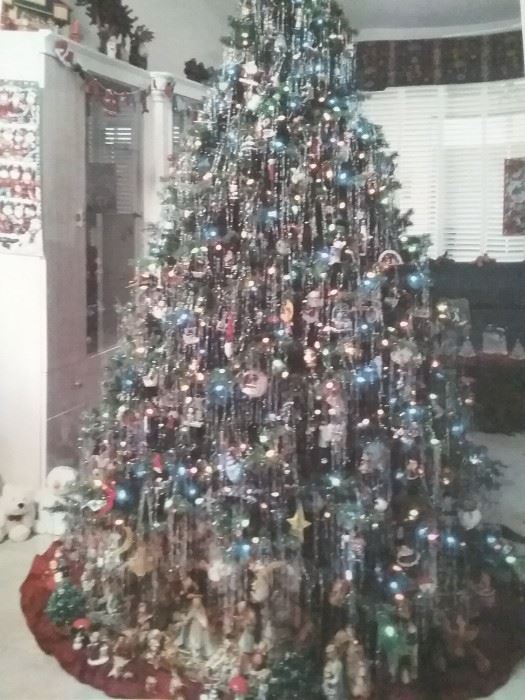 beautiful (not decorated) Christmas tree