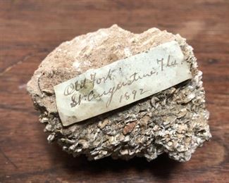 Oak three drawer cabinet with 19th/20th century rock collection