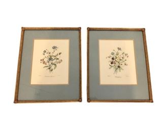Framed Botanical Prints