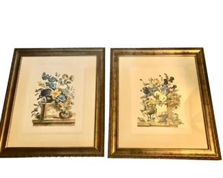 Framed Botanical Prints