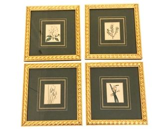 Framed Botanical Prints