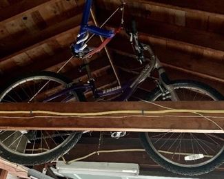 Trek Mountain Track 220 Bike