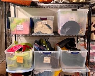 Assorted Halloween decorations