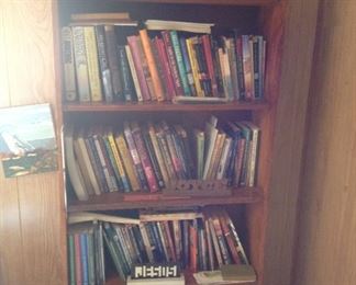 Books/Book shelf