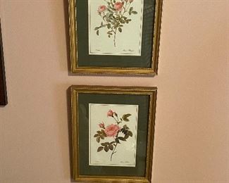 Lots of pictures in various sizes