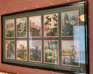 Lots of pictures in various sizes