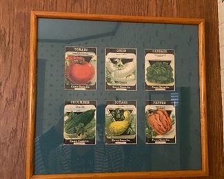 Seed packets under glass