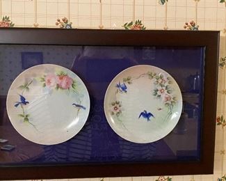 Plates encased in glass frame