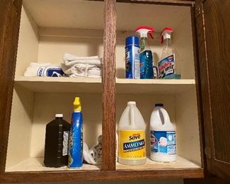 Cleaning supplies