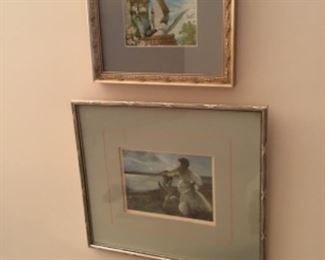 Lots of nice pictures