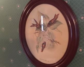 Lots of nice pictures