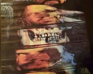 #118) $9.60 NOW 20% OFF (was $12 ) PANTERA Poster 2001 34 1/2 x 24 1/2” Never Used 