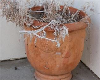 #84 . $40.00. Terra cotta planter 18” h X 19” diameter