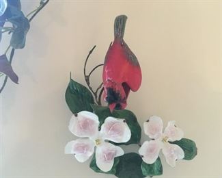 . . . a nice cardinal on magnolia branch